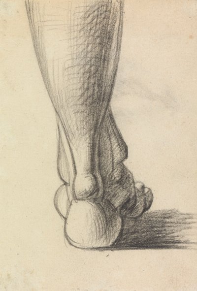 Anatomická studie paty nohy od Benjamin Robert Haydon