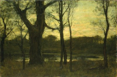 Bazén v lese, konec 19. století. od Benjamin Rutherford Fitz