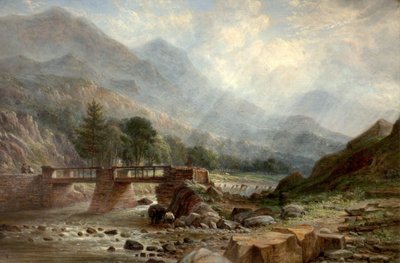 Nedaleko Beddgelert od Benjamin Shipham