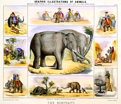The Elephant, c1850 od Benjamin Waterhouse Hawkins
