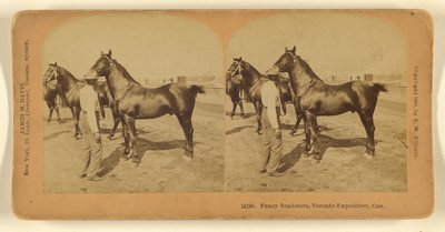 Fancy Roadsters, Toronto Exposition, Can. od Benjamin West Kilburn