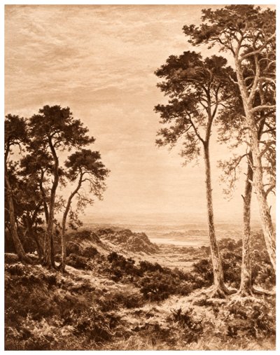 Západ slunce po dešti, 1903 od Benjamin Williams Leader