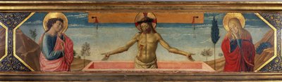 Neznámý obrázek od Benozzo di Lese di Sandro Gozzoli