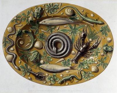 Passin à plazi - Keramická miska, v „Dílo Bernarda Palissyho““ od C. Delange a C. Bornemana, Paříž od Bernard (after) Palissy