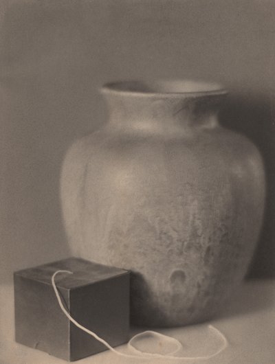 Stálý život od Bernard Shea Horne