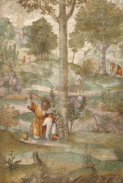  od Bernardino Luini