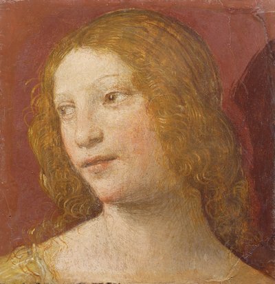 Hlava mladé ženy od Bernardino Luini