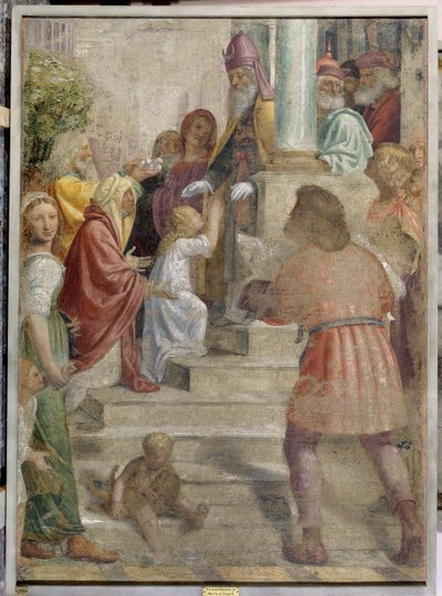 Představení Marie v chrámu od Bernardino Luini