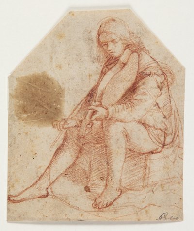 Sedící mládež s violou od Bernardino Luini