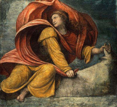 Znásilnění Evropy od Bernardino Luini