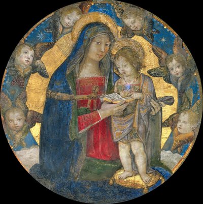 Madona a dítě s cherubíny, 1492-1495. od Bernardino Pinturicchio