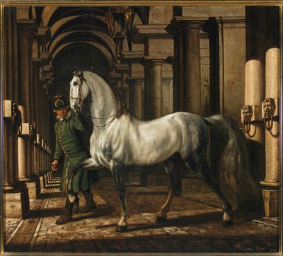  od Bernardo Bellotto