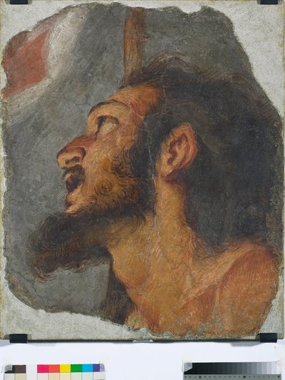 Hlava sv. Jana Křtitele Fragment samostatné fresky, 1622 od Bernardo Strozzi