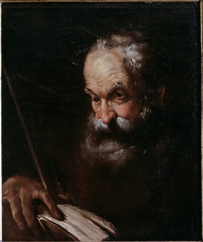 Portrét starého muže s knihou (olej na plátně od Bernardo Strozzi