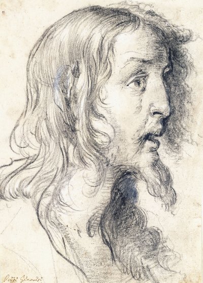 Hlava Kristova z profilu vpravo, od Bernardo Strozzi
