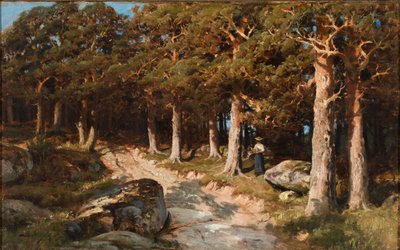 Žena v lese od Berndt Lindholm