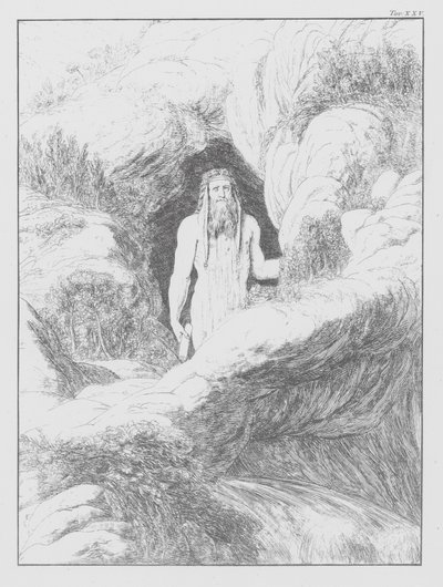 Danteho Božská komedie, Peklo, deska XXV (litografie) od Bernhard Schuler