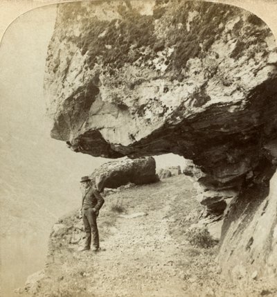 Muž na útesu s výhledem na Naeroyfjord, Sogne, Norsko. od Bert Underwood
