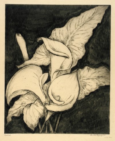 Callas od Bertha E. Jaques