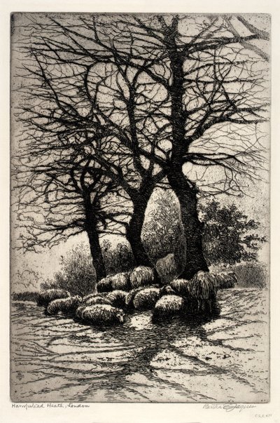 Hampstead Heath, Londýn od Bertha E. Jaques