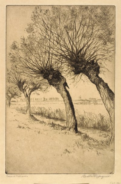 Pollard Willows, Rijsord, Nizozemsko od Bertha E. Jaques