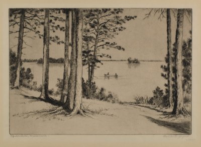 Spider Lake, Wisconsin od Bertha E. Jaques