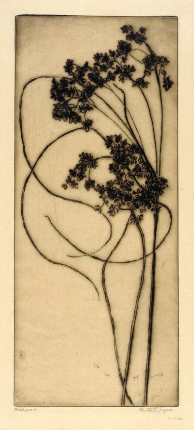 Woolgrass od Bertha E. Jaques