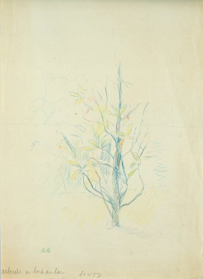 Keře u jezera, 1893 (barevná tužka na papíře) od Berthe Morisot