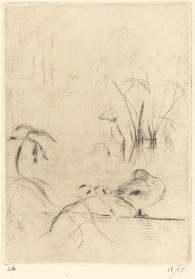 Kachny v klidu na břehu, 18881890. od Berthe Morisot