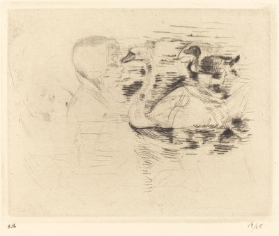 Labutě ve stojaté vodě od Berthe Morisot