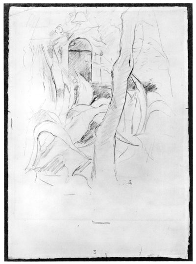 Aloe ve Villa Ratti, 1889 (grafit na papíře) od Berthe Morisot