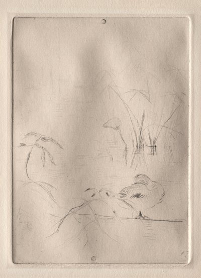 Kachna od Berthe Morisot