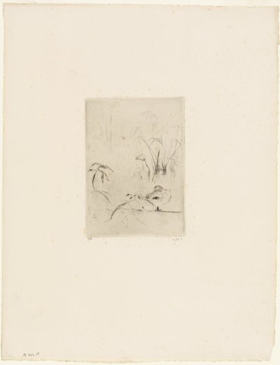 Kachna od Berthe Morisot