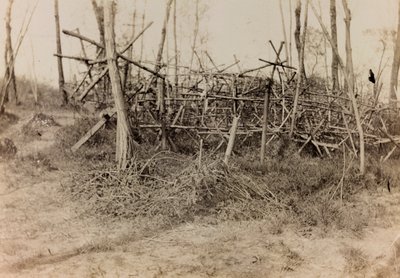 Album první světové války ve Friuli-Venezia Giulia: obranná překážka (fríští koně), 05/1916 (čb foto) od Bertoni Bertoni
