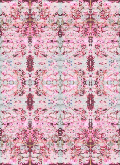 Burgandy Rose, 2015 (kombinovaná technika, ilustrace, digitální) od Beth Travers