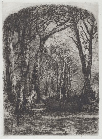 Woods [Bosco], kolem roku 1895. od Bianchi Mose