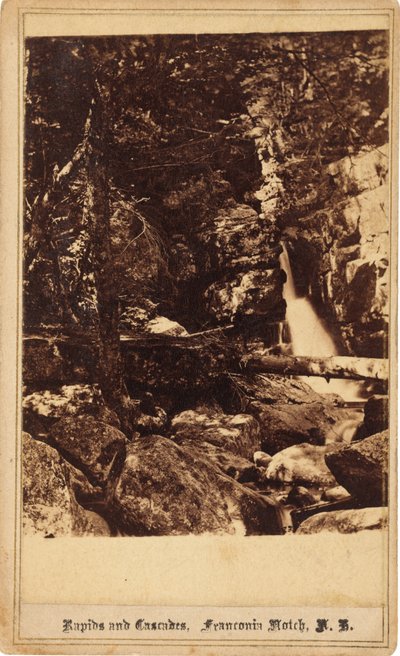 Rapids and Cascades, Franconia Notch, New Hampshire od Bierstadt Brothers