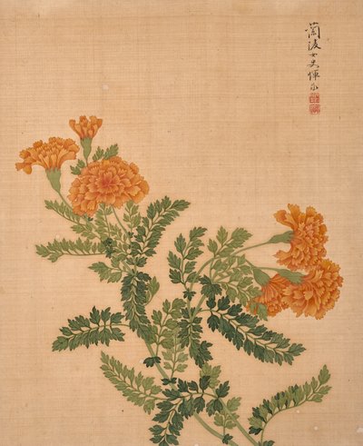 Album květin (tuš a barva na hedvábí) od Bing Yun