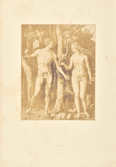 Adam a Eva od Bisson Frères