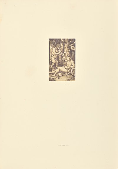 Rodina Satyrů od Bisson Frères