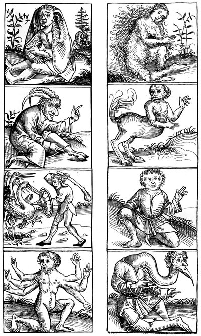 Víry a lidové pověry, 1493 1849. od Bisson and Cottard