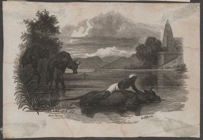 Farmáři nesou mrtvý dobytek, asi 1850 (rytina) od Blasius Höfel