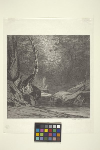 Crooked Tree (inkoust na papíře) od Bolton Coit Brown