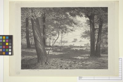Edge Of The Woods (inkoust na papíře) od Bolton Coit Brown