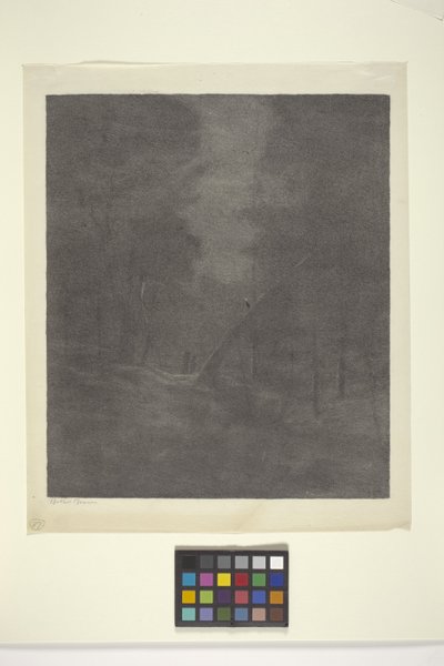 Moonlight Woods (inkoust na papíře) od Bolton Coit Brown