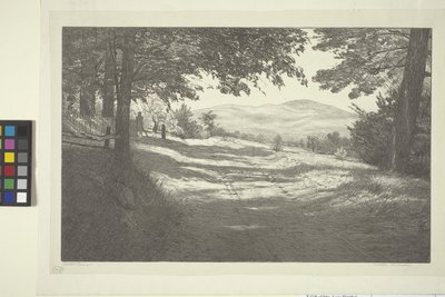 Severní pohled (inkoust na papíře) od Bolton Coit Brown