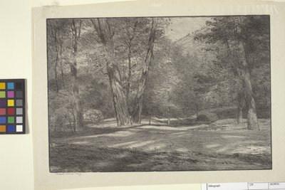 Sierra Woods (inkoust na papíře) od Bolton Coit Brown