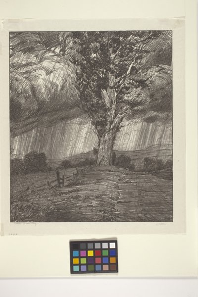 Storm (inkoust na papíře) od Bolton Coit Brown