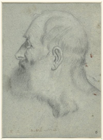 Hlava vousatého muže z profilu vlevo od Bonifazio Veronese (attributed to)