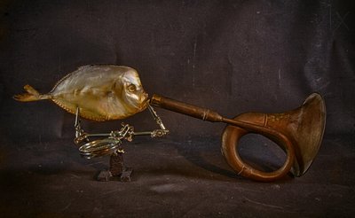 Surrealistický rybí roh od Brig Barkow